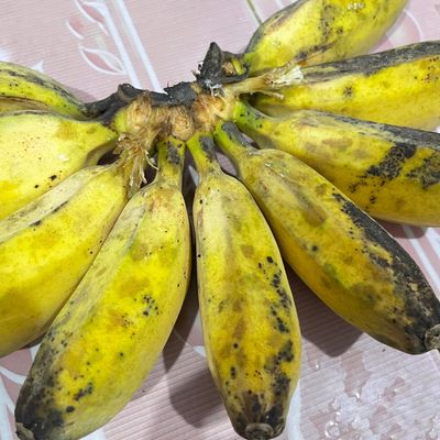 Langkah 5