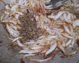 A picture of step 1 of White lobia with qeema.