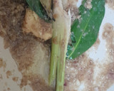Foto langkah ke 2 dari resep Empal Daging Sapi.