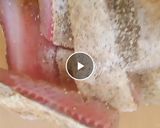 A picture of step 1 of Soy Fried Fish.
