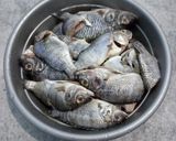 Foto langkah ke 1 dari resep Sambalado Baby Nila.