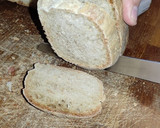 Foto del paso 7 de la receta: Pan de payés de espelta (fermentación lenta)