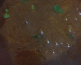 அரைச்சுவிட்ட வெந்தய குழம்பு ரெசிபி ஸ்டேப் 5 புகைப்படம்
