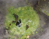 Foto langkah ke 3 dari resep Tumis Sayap Ayam.