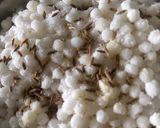 A picture of step 1 of Saboodana Papad.