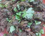 முருங்கை கீரை பக்கோடா ரெசிபி ஸ்டேப் 4 புகைப்படம்