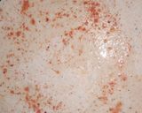 A picture of step 2 of Masala parantha.