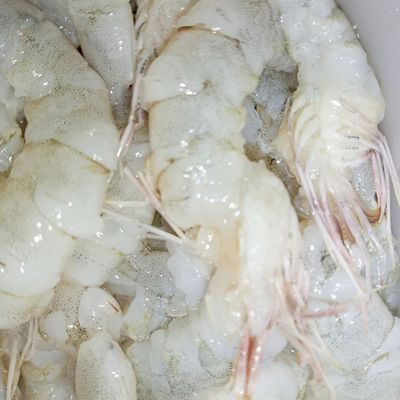 Langkah 1