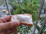 Làm CREAM CHEESE (Phô mai tươi)