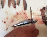 Foto del paso 2 de la receta: Moruna de sardinas