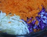 Foto del paso 2 de la receta: Ensalada Coleslaw