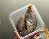 嫩炸魚排 南洋風料理 簡單易上手 10分鐘上菜的食譜步驟1照片