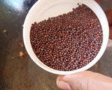கன்னியாகுமாரி ஸ்பெஷல் இஞ்சி தீயல் ரெசிபி ஸ்டேப் 4 புகைப்படம்