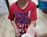 A picture of step 4 of Easy Dumpling Gyoza.