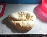Foto del paso 5 de la receta: Pan rústico (Baguette)