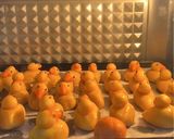 Foto langkah ke 6 dari resep Nastar Bebek.