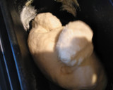 Foto del paso 2 de la receta: Pan para hamburguesas (muy tiernos)
