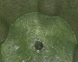 Mint and lemon sharbat recipe step 2 photo