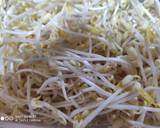 Stir fry bean sprout recipe step 3 photo
