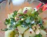 A picture of step 3 of Mask melon cucumber salad.