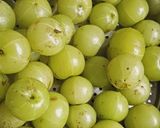 A picture of step 1 of Amla candy.
