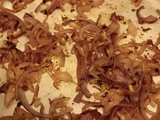 Instant noodle stir-fry