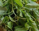 Foto langkah ke 1 dari resep Sayur Bening Bayam.
