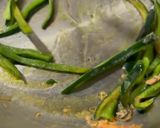Foto del paso 4 de la receta: *SALMÓN AL CITRUS CON HONGOS Y SALSA CREMOSA CON CHILE CHIPOTLE*