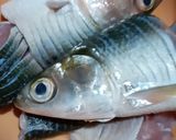 Foto langkah ke 1 dari resep 85. Bandeng Keropok Semarang 🐟.