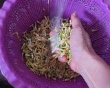 Foto langkah ke 1 dari resep Tumis Bunga Pepaya Teri Medan.