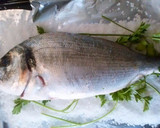 Foto del paso 1 de la receta: Dorada (salvaje) a la sal