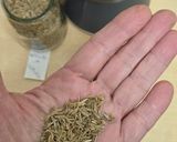 Foto del paso 3 de la receta: Dukkah egipcio 🇪🇬 mezcla saludable de frutos secos y especias 🇪🇬