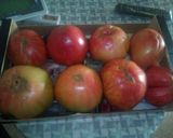 Foto del paso 1 de la receta: Tomatito de la huerta con anchoas y huevo duro