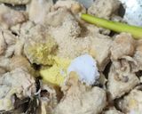 Foto langkah ke 3 dari resep Krengsengan Ayam (Tidak Pedas).