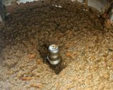 Une image de l'étape 6 de Champignons Farcis au Cook Expert.