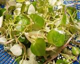 Telur Dadar Sirih Cina / Sirih Bumi langkah memasak 1 foto