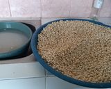 Foto langkah ke 1 dari resep Kacang goreng bawang.