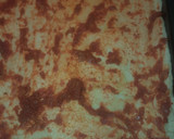 Foto del paso 6 de la receta: Pizza casera en la plancheta