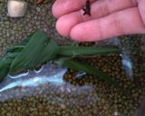 Foto langkah ke 1 dari resep Bubur kacang hijau masak presto.