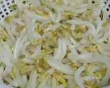 Foto langkah ke 8 dari resep Soto bening 'shirataki'.
