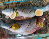Foto del paso 2 de la receta: Lubina al horno con verduras