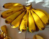 Foto langkah ke 1 dari resep ✨️Sale Pisang.