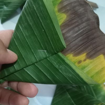 Langkah 2