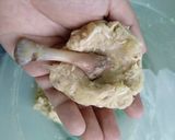 Gambar langkah 5 resipi Kroket Kentang Inti Ayam.