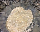 Foto del paso 3 de la receta: Milanesas de berenjena 🍆
