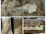 Budín light de Ricota y zapallito