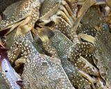 Gambar langkah 5 resipi Ketam Masak Merah Berkicap.