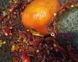Foto langkah ke 8 dari resep Resep Ikan Nila Terbang dengan Sambal Tomat Terasi #w5.