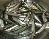 Foto del paso 1 de la receta: Sardinas Malagueñas al papillote