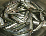 Foto del paso 1 de la receta: Sardinas Malagueñas al papillote